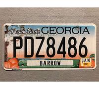 Inga Placa de matrícula Georgia Peach State con números aleatorios de 15 x 30 cm