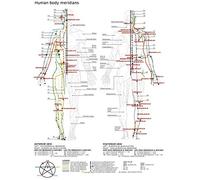 Inga Póster de meridianos del cuerpo humano impreso, decoración del hogar, decoración de pared, póster de metal de 8 x 12 pulgadas