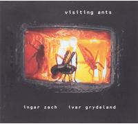 Ingar Zach - Ingar Zach/Ivar Grydeland : Visiting Ants