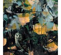 Ingebrigt Haker Flaten - (Exit) KNARR [VINYL] [Vinilo]