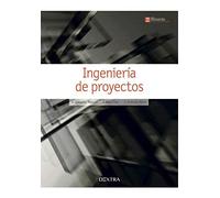 Ingeniería de proyectos (Ingeniería de la organización)