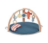 Ingenuity Cozy Spot Gimnasio de Actividades y Manta nórdica Reversible para bebé con Arco de Madera - Harbor Haven, Extra Suave, Desde recién Nacido