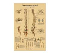 Inglés alemán francés español versión italiana anatomía el cartel de la estructura del cuerpo retro kraft doom habitante médico decoración pared(14,A3)