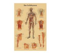 Inglés alemán francés español versión italiana anatomía el cartel de la estructura del cuerpo retro kraft doom habitante médico decoración pared(42,A3)