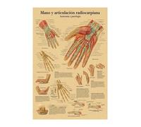 Inglés alemán francés español versión italiana anatomía el cartel de la estructura del cuerpo retro kraft doom habitante médico decoración pared(24,A3)