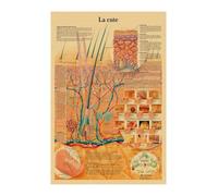 Inglés alemán francés español versión italiana anatomía el cartel de la estructura del cuerpo retro kraft doom habitante médico decoración pared(40,A4)