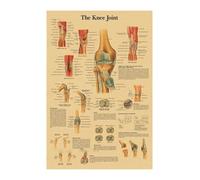 Inglés alemán francés español versión italiana anatomía el cartel de la estructura del cuerpo retro kraft doom habitante médico decoración pared(26,A3)