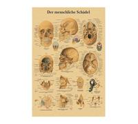 Inglés alemán francés español versión italiana anatomía el cartel de la estructura del cuerpo retro kraft doom habitante médico decoración pared(17,A4)