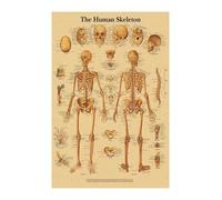 Inglés alemán francés español versión italiana anatomía el cartel de la estructura del cuerpo retro kraft doom habitante médico decoración pared(1,A4)