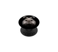 Inglés Angora Conejo Cara Bosque Fauna Silvestre PopSockets PopGrip Adhesivo