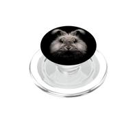 Inglés Angora Conejo Cara Bosque Fauna Silvestre PopSockets PopGrip para MagSafe