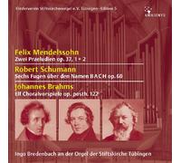 Ingo Bredenbach - Die Orgel der Stiftskirche St. Georg in Tübingen [Import]