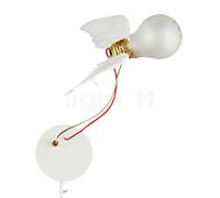 Ingo Maurer Lucellino, con transformador - con Regulador - con enchufe