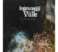 Ingranaggi Della Valle - Warm Spaced Blue