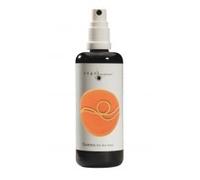 Ingrid Auer Esencia de Ángel de aura (100 ml): más alta selbst ("Ángel del sol).