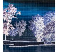 Ingrid Laubrock – Last Quiet Place – CD – Importación USA