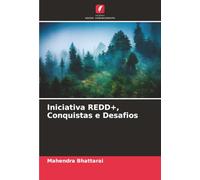 Iniciativa REDD+, Conquistas e Desafios
