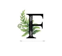 Initial F Notebook: Lined 6''x 9'' Journal, 100 Cream Colored Pages, Gift idea, Personalized Initial F, First/Last Name Letter F