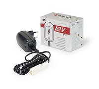 INJUSA Cargador 12V para Batería de Plomo de Vehículo Infantil | cargador de 12 V para batería de plomo-ácido, recambio original INJUSA, 12 h de carga