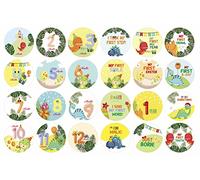 Inkdotpot Calcomanía De Hito De Bebé De 12 Meses, Calcomanías Redondas De Hito Mensual para Niño/Niña, del Recién Nacido, Accesorios para Fotos De Bebés (Dinosaurio), 24 Unidades, 4 Pulgadas