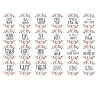 Inkdotpot Calcomanía De Hito De Bebé De 12 Meses, Calcomanías Redondas De Hito Mensual para Niño/Niña, del Recién Nacido, Accesorios para Fotos De Bebés (Florales), 24 Unidades, 4 Pulgadas