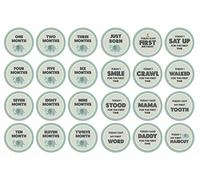Inkdotpot Calcomanía De Hito De Bebé De 12 Meses, Pegatinas Redondas De Hito Mensual para Niño/Niña, del Recién Nacido, Accesorios para Fotos De Bebé (Elefante), 24 Unidades, 4 Pulgadas
