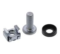 InLine 01950C - Juego de tuercas enjauladas M6 (100 tuercas enjauladas, arandelas y tornillos)