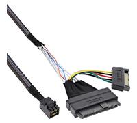 InLine 29620b U.2 Cable de conexión, SSD con U.2 (SFF 8639) a sff-8643 y Corriente, 0,75 m, Color Negro