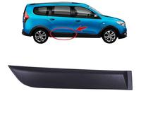 INLY Moldura Protectora Moldura Lateral Trasera Derecha Compatible con Dacia Lodgy 828776410R (2012->)