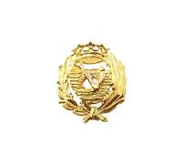 Inmaculada Romero Insignia Profesional Ingeniero de Caminos Plata 925m Ley 17mm