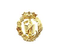Inmaculada Romero Insignia Profesional Medicina Plata 925m Chapado Oro Cierre Trasero Latón Dorado