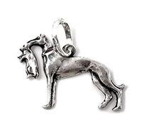 Inmaculada Romero IR Colgante plata Ley 925m perro caza 23mm. raza galgo presa boca liso brillo mate