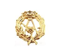 Inmaculada Romero IR Insignia Profesional Arquitectura Escudo Plata 925m Ley 17mm. Pin Chapado Oro Cierre Trasero latón