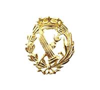 Inmaculada Romero IR Insignia Profesional Filosofía y Letras Escudo Plata 925m Ley 16mm. Pin Chapado Oro Cierre Trasero latón