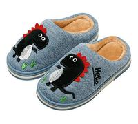 INMINPIN Zapatillas de Estar por Casa para Niñas Niños Caliente Pelusa Pantuflas de Invierno Lindo Zapatos Interior de Algodón con Dinosaurio de Dibujos Animados,Azul,25/26 EU=Fabricante 26/27