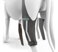 Ortocanis - Inmovilizador de Rodilla para Perro - Rodillera para Pierna Izquierda - Lesiones, Rotura de Ligamentos, Luxación de Rótula y Postoperatorio - Neopreno Especial - Talla: XXXS de 17 a 19 cm