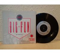 Inner City - Big Fun - 10 Records - 111 749-100, 10 Records - 111 749