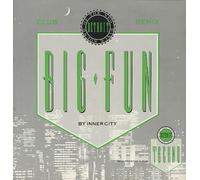 Inner City - Big Fun-Club Remix (x2 + Various Artists Techno Mix) [Import] [Vinilo]