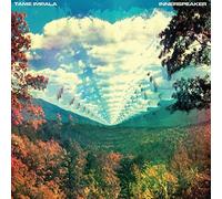 Innerspeaker by Tame Impala