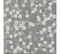 INNERZONE ORCHESTRA - INNERZONE ORCHESTRA / BUG IN THE BASSBIN