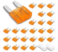 Innfeeltech 25 Piezas Fusible Mini, Fusible Plano 5A con 2 Clips de Plástico para Coche, Camión y Moto