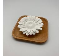 Innobiz Difusor pasivo Astelia - fácil de usar