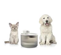 InnovaGoods Fuente para Gatos Recargable con Sensor Refopet