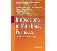 Innovations in Mini Blast Furnaces: Toward Sustainable Metallurgy (Topics in Mining, Metallurgy and Materials Engineering)