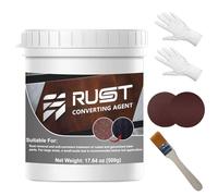 INNOVAYOU Eliminador de óxido para metal, 500 g, evita la oxidación y la corrosión, convertidor de óxido con cepillo, adecuado para automóviles, metales y hierro fundido