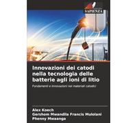 Innovazioni dei catodi nella tecnologia delle batterie agli ioni di litio: Fondamenti e innovazioni nei materiali catodici