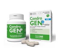 Innovet Condrogen Puppy Suplemento articular para cachorros grandes PGA-m y condroitina 60 comp