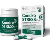 Innovet Condrostress (+) Cat, para gatos adultos y ancianos con rigidez articular, contra la osteoartritis, preserva la capacidad de movimiento, neutraliza los radicales libres, paquete de 30 cápsulas