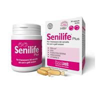 Innovet Senilife® Plus, para el bienestar del cerebro de perros y gatos ancianos - Paquete de 30 cápsulas bolos monodosis