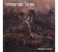 Innumerable forms - Philosophical collapse [Vinilo]